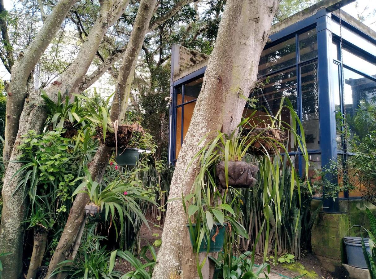 Casa Del Aguacate - Tumbaco Maison d'hôtes Cumbayá